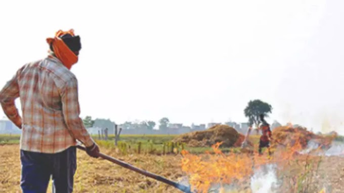 51% cut in stubble burning this season against corresponding period last year: Air quality panel