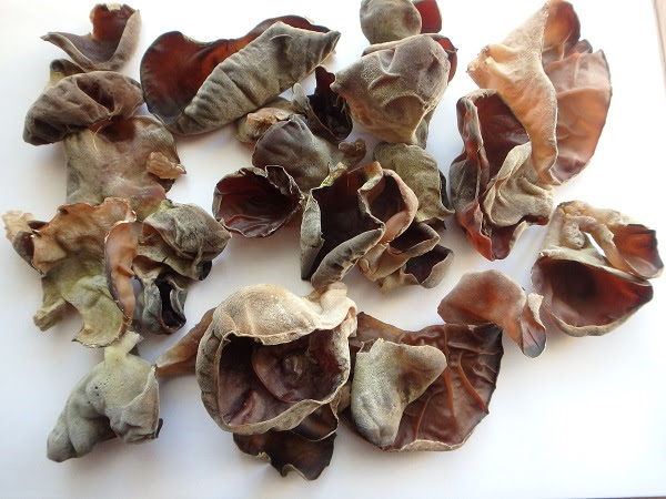 その他のその他生き物 魚類 貝類 哺乳類 両棲類 爬虫類などの範疇に入らない その他の高原町の生き物を集めました ヤマビル 蛭綱 顎蛭目 ヤマビル科 8月中旬に御池で遭遇しました 観察会の途中で ズボンの裾を靴下の下に入れるとヒルに