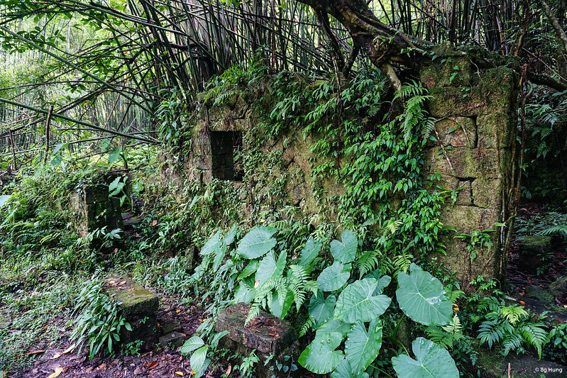 DSC01304