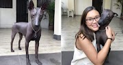 23+ Anjing Kawin Sama Orang, Inspirasi Terbaru Untuk Anda