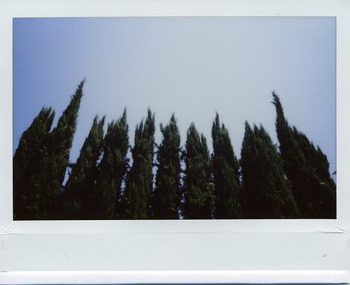 img003