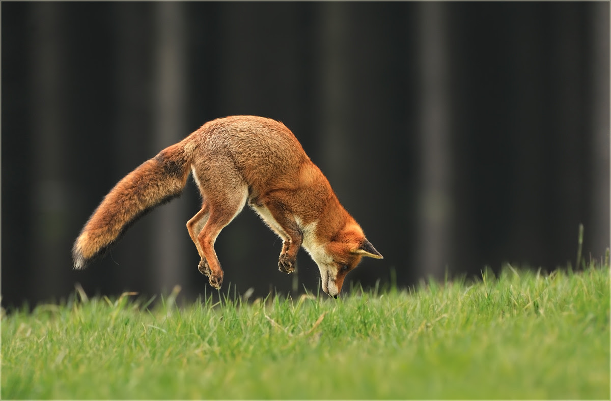 nature photography, view community,