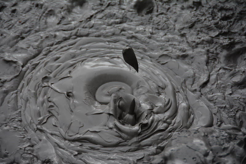 waiotapu mud pool