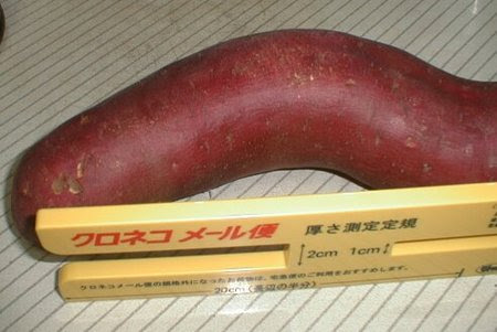 さつま芋