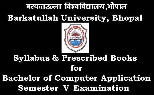 BCA_Sem-V_Syllabus