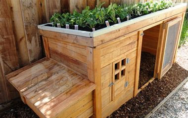 chicken coop with herb planter on top perfect for keeping chooks out ...
