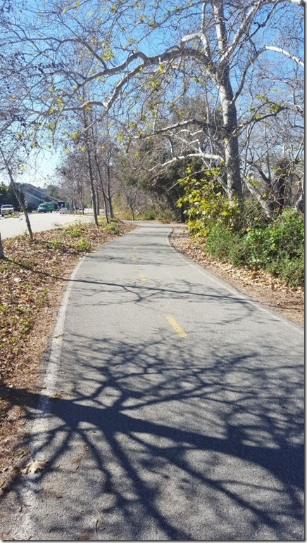 oc run advocare challenge (450x800)