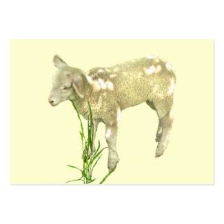 Sweet Baby Lamb on Yellow ATC Card