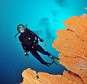 Diving, Maldives