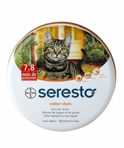 Antiparasitaire Pour Chat Quels Anti Puce Et Anti Tique Choisir Jardingue