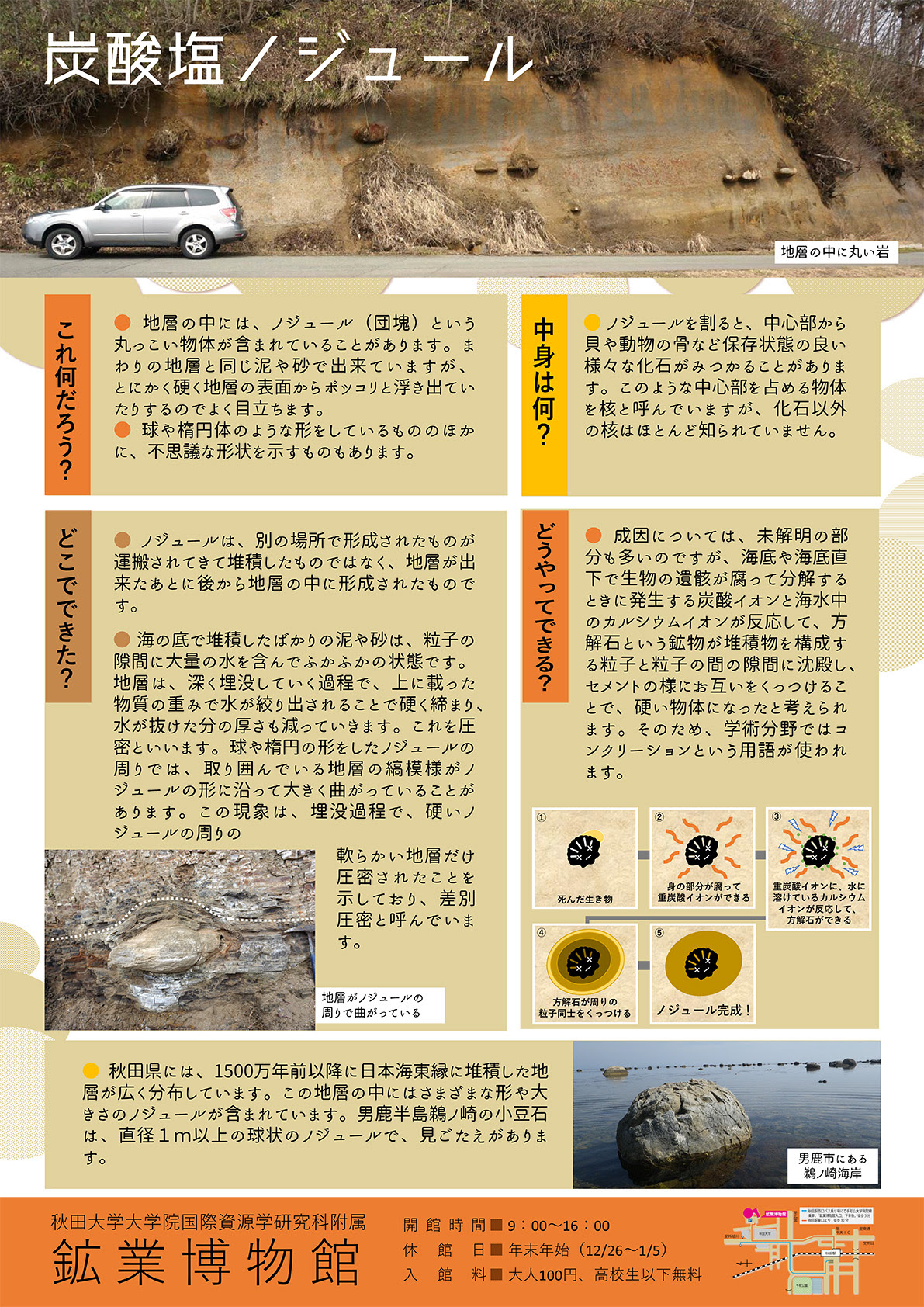 お知らせ 秋田大学鉱業博物館