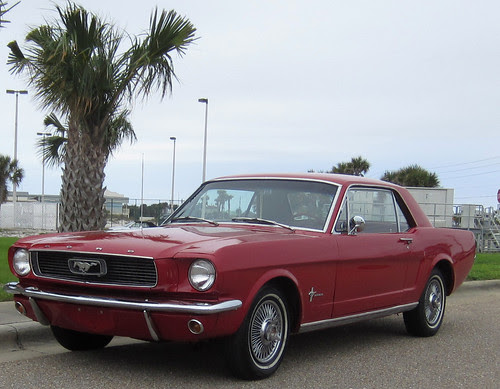 Mustang-1