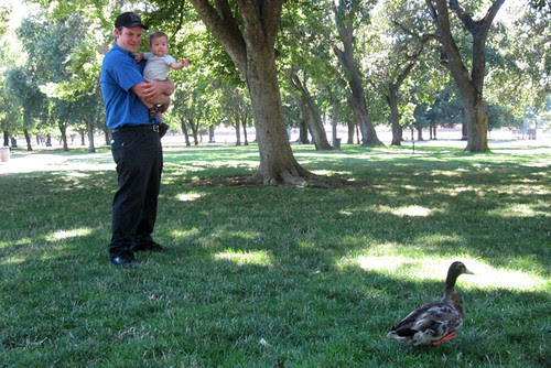 duck encounter1