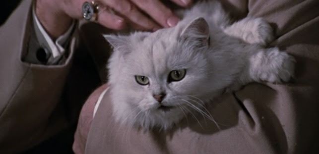 You Only Live Twice 1967 Cinema Cats