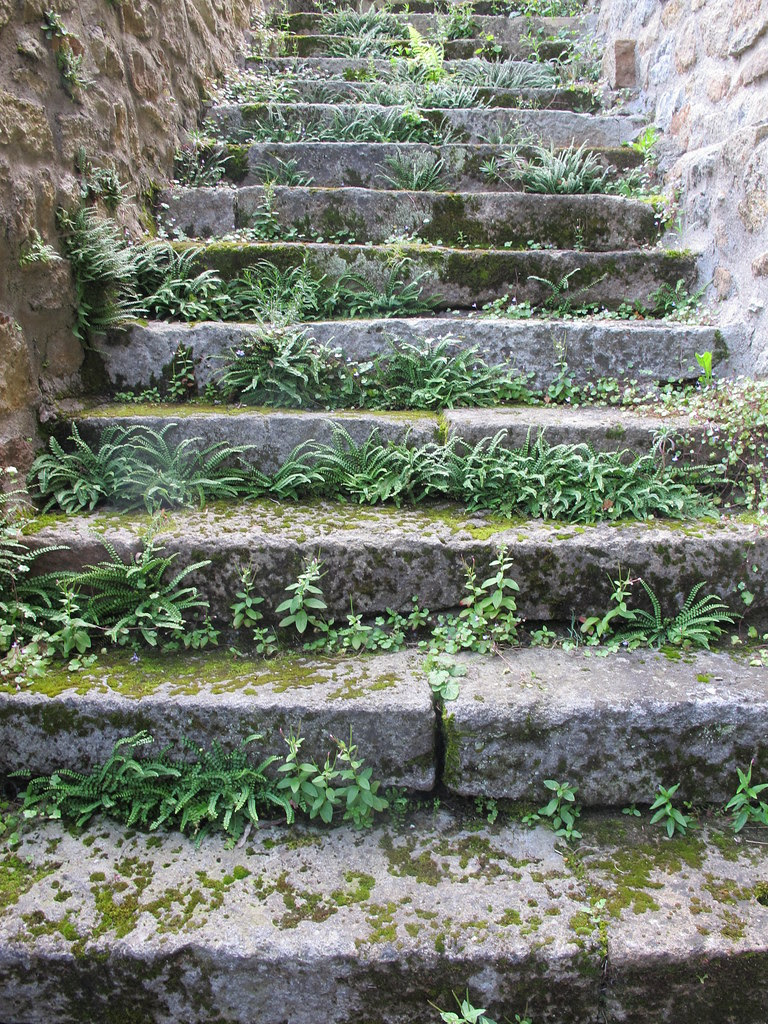 Montpeyroux, Auvergne