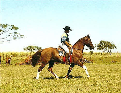 Duelo II