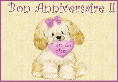 Vive Les Chiens Anniversaire Elvis Bigmam