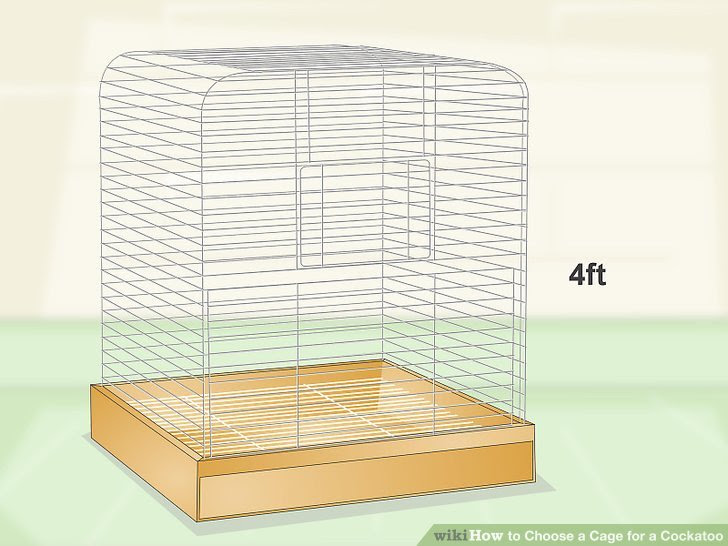 Choose a Cage for a Cockatoo Step 2.jpg