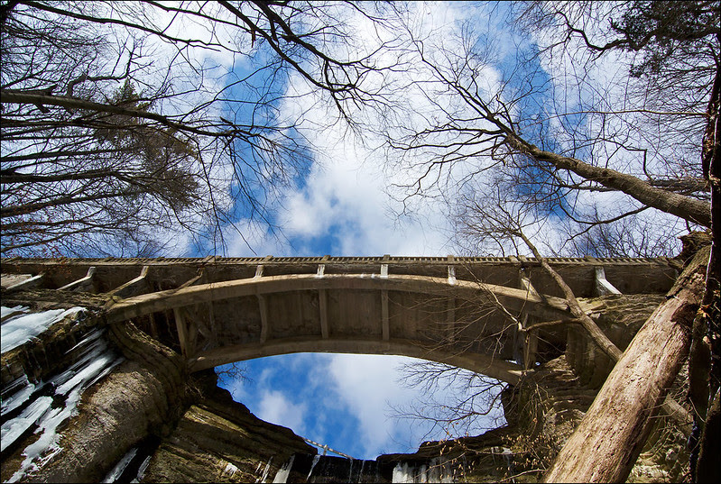 Beneath the Canopy, Under the Bridge