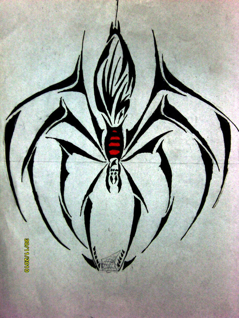 spider tattoos