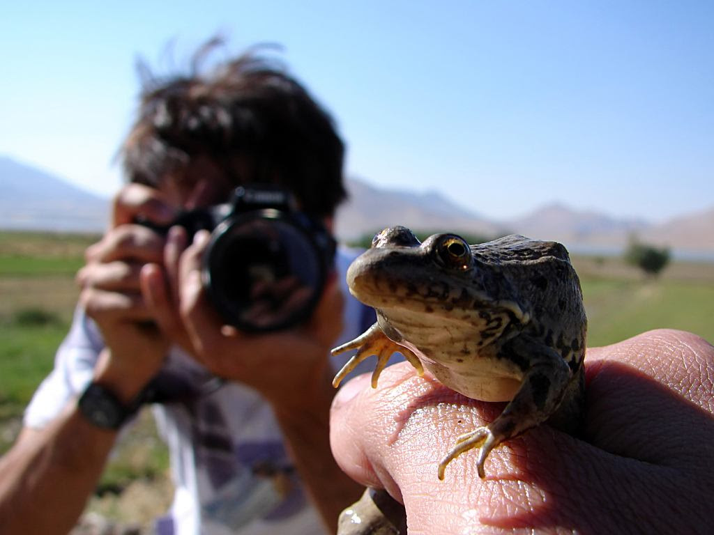 247656795_95191b9c91_b