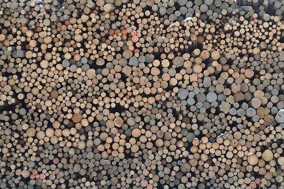 logs as pattern