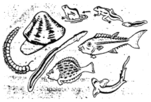 Pembabakan Zaman  Prasejarah berdasarkan Geologi