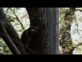Видео Kiev University | Fomin Botanical Gardens