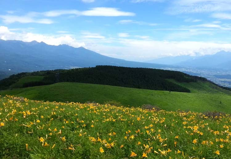 9月の登山におすすめの関東の山 243件