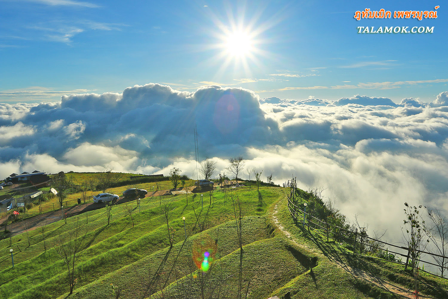 รูปภาพที่เกี่ยวข้อง