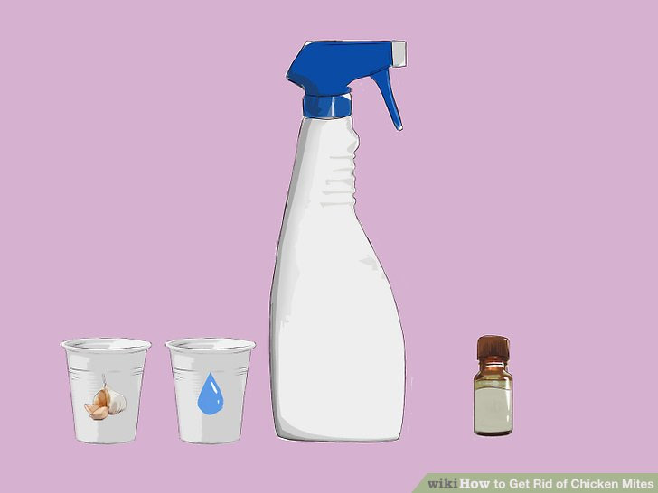Get Rid of Chicken Mites Step 7.jpg