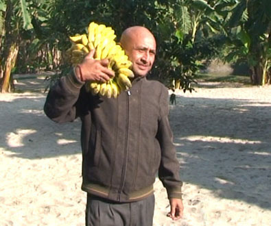Kalu-Hamal