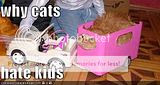 funny-pictures-why-cats-hate-kids.jpg