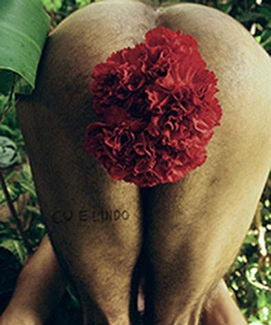 Imagem