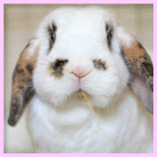 http://picasion.com/i/1UQko/