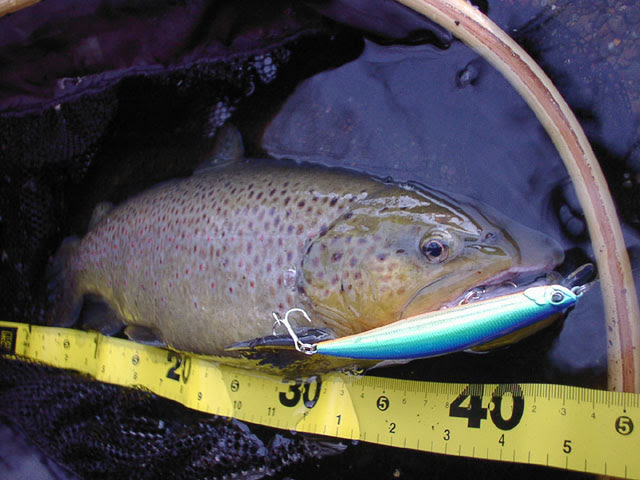 ルアー フライチャレンジ 05 In 芦ノ湖