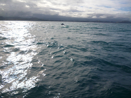 P1050472