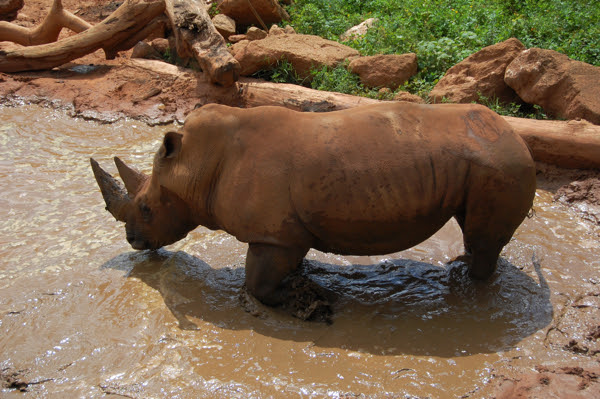really ugly animals. You were ugly in the first