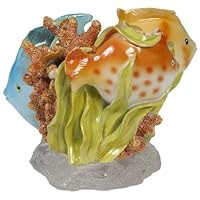 Creative Bath Rainbow Fish Toothbrush Holder