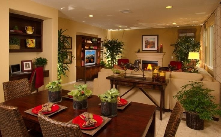 Decorating Living And Dining Room Combo