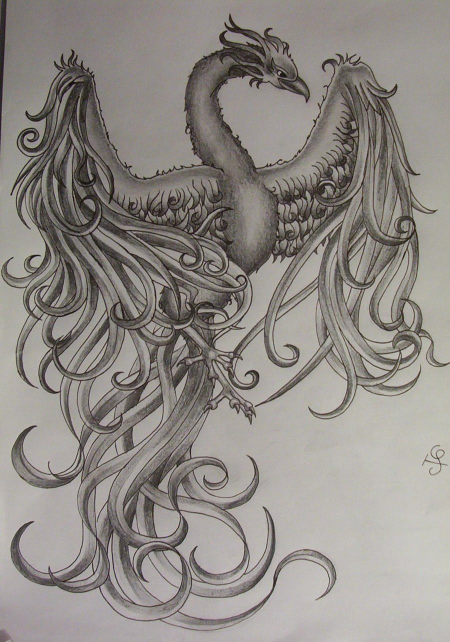 Phoenix Tattoos Designs, Ideas and Meaning | Tattoos For You