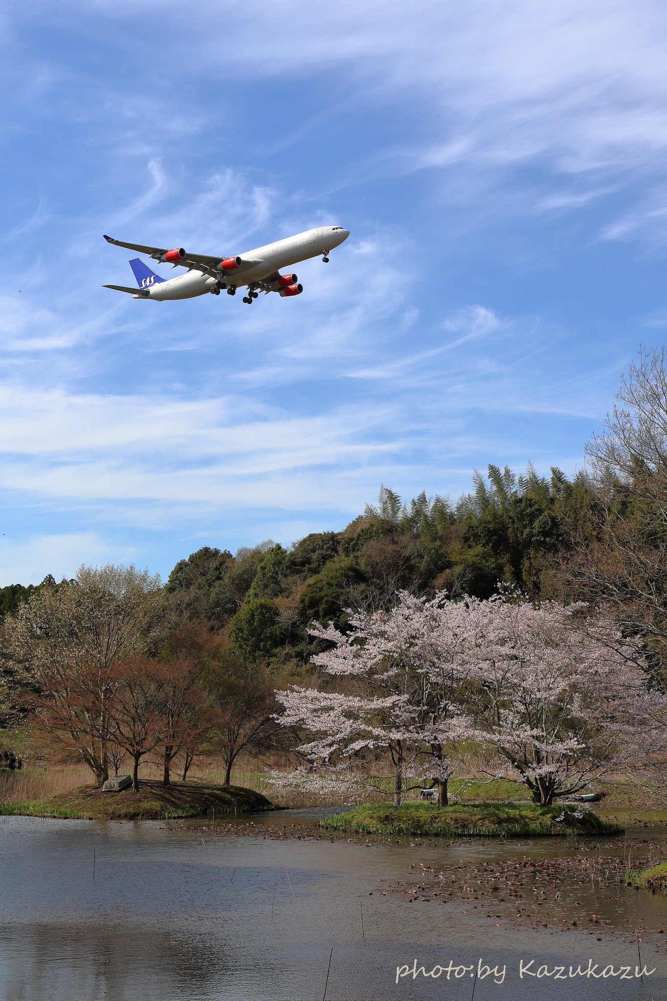 桜満開の成田空港 デリカd5で車中泊 日本中の航空祭