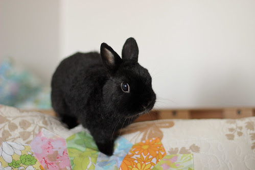 George by Jeni Baker