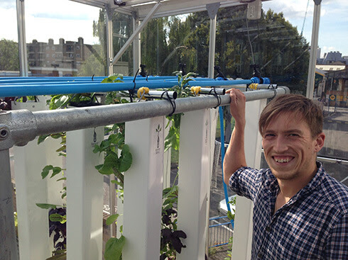 Urban farming start-up demonstrates aquaponics, vertical growing 