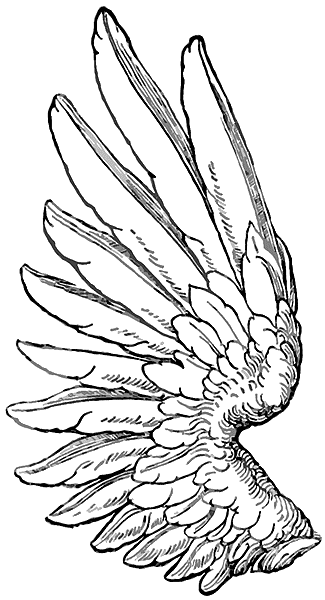 Labels: Wings Tattoo Art Free