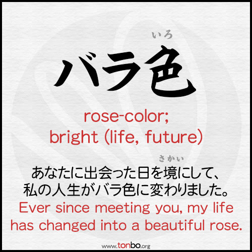 Wotd Tonbo Translations