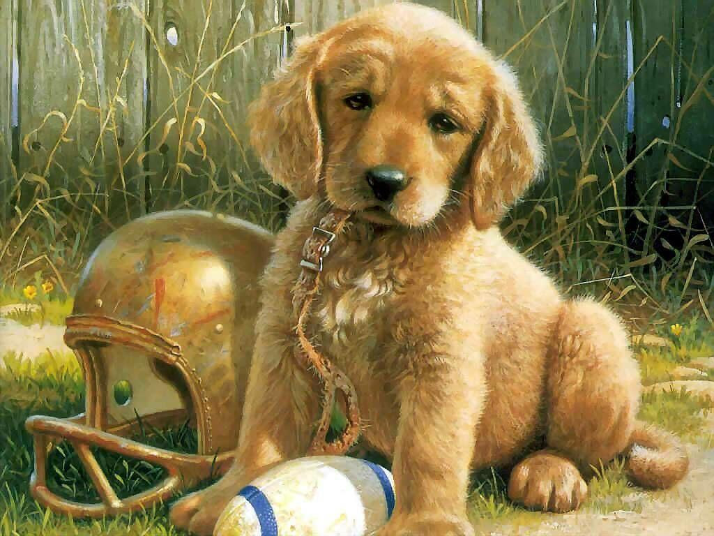 Free Puppy Wallpapers For Computer - Wallpaper Cave
