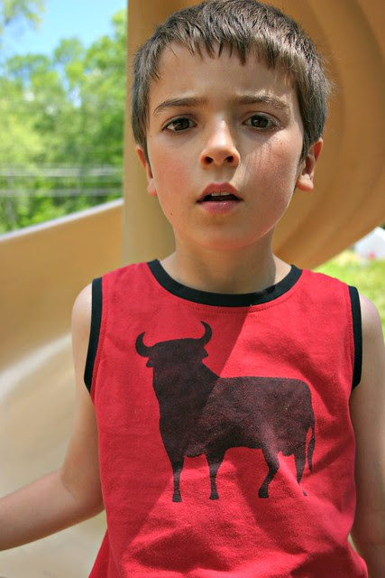 bull shirt 2
