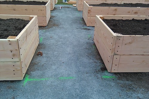 Build day - handicap accessible