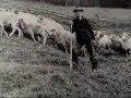 Lateinische Sprichwörter Zeit